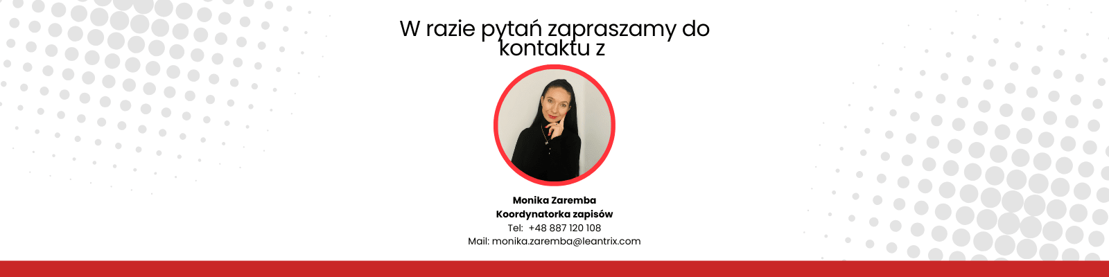 Grafika w stopce strony, najczęściej logotypy.